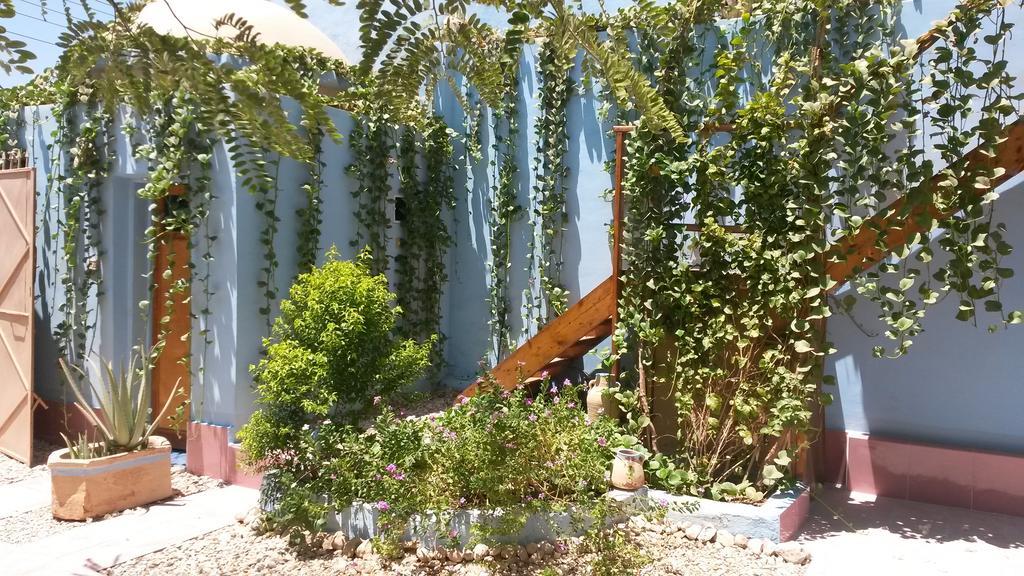 Villa Diletta Luxor Ngoại thất bức ảnh